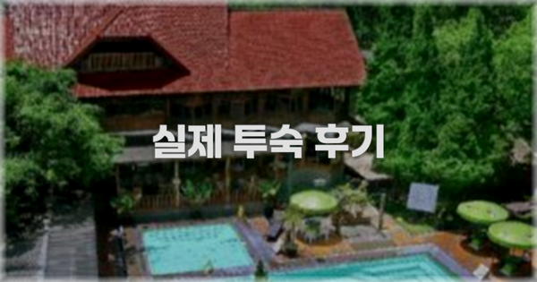 💬 실제 투숙 후기