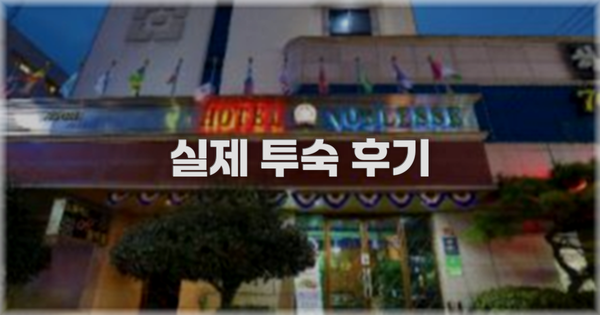 💬 실제 투숙 후기