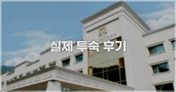 💬 실제 투숙 후기