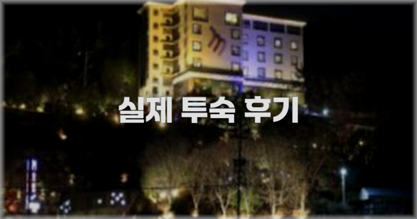 💬 실제 투숙 후기