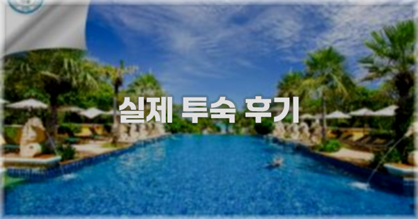 💬 실제 투숙 후기