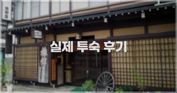 💬 실제 투숙 후기