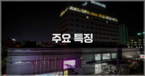 ✨ 주요 특징